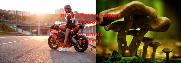 прущая мука Алзамай